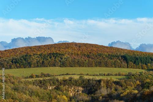 autumn landscape with forest