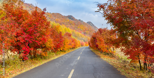 Panorama of the road through the Laobiangou canyon in autumn near Benxi, China