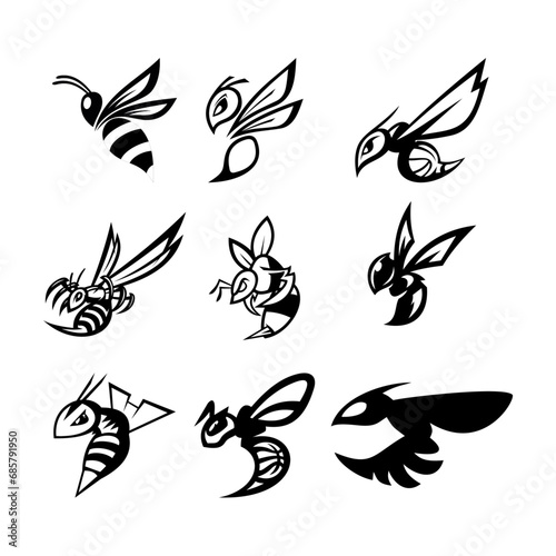 black and white bee