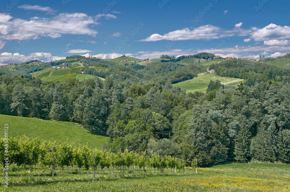 Vineyard Landscape in Wine Region called styrian Tuscany,Styria,Austria