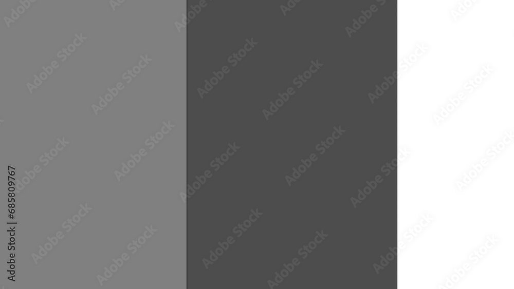 Looping Transition Black and White Intro Digital Rendering Looping Transition Black and White Intro Digital Rendering