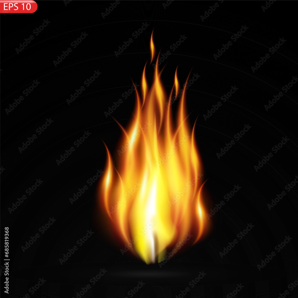 Fire flames isolated on transparent background. Vector realistic special effect Fire flames isolated on transparent background. Vector realistic special effect