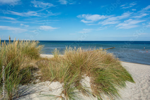 Fototapeta Naklejka Na Ścianę i Meble -  Dune grass on a beach with sea