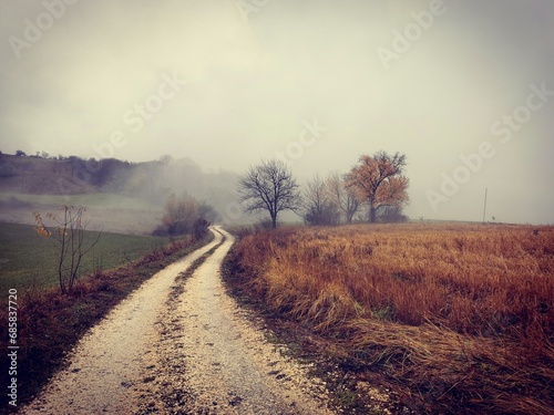 Tablou pe pânză Colorful landscape photo of small path on foggy, rainy, autumn day