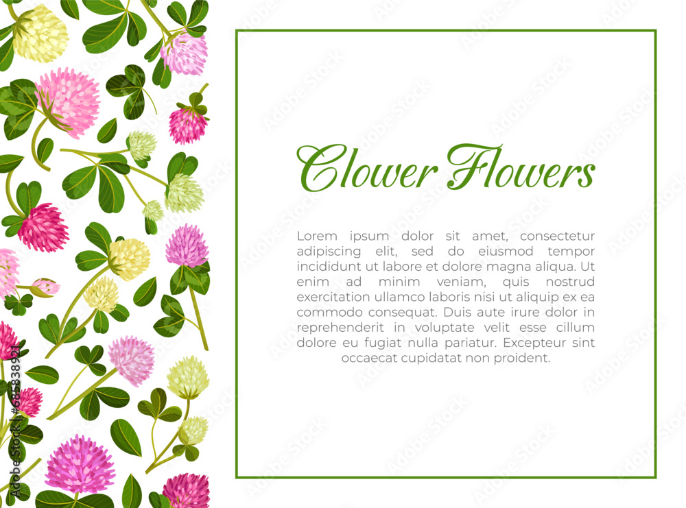 Clover Flower Banner Design with Meadow Flora Vector Template