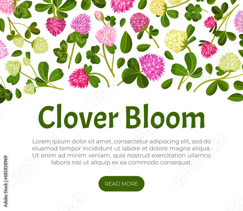Clover Flower Banner Design with Meadow Flora Vector Template