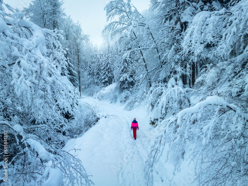 Aerial view of walking woman in red on mountain road in beautiful foggy forest in snow in winter day. Top drone view of girl in snowy woods in mist. Pine trees in hoar. Snowfall in woodland at dusk