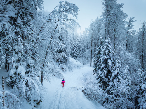 Aerial view of walking woman in red on mountain road in beautiful foggy forest in snow in winter day. Top drone view of girl in snowy woods in mist. Pine trees in hoar. Snowfall in wintry woodland