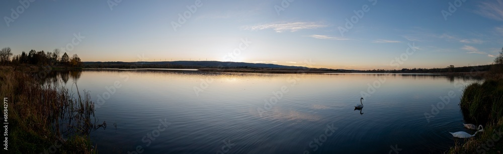 Panorama of the evening lake and swans against the background of windmills on the horizon.
