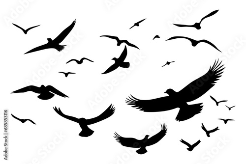 Silhouettes of flying birds on a white background. Vector illustration © POKPAK
