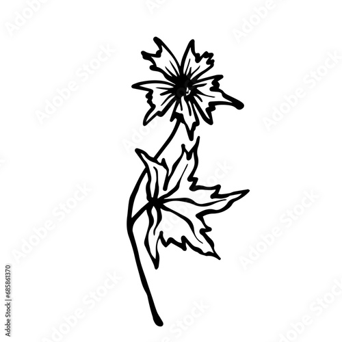 Wallpaper Mural Sketch,doodle of wild meadow grass,flower.Decorative botanical element.Vector graphics. Torontodigital.ca