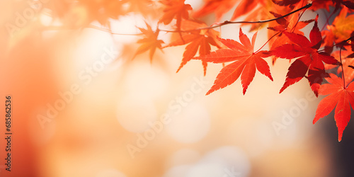 Capturing the Breathtaking Harmony of Autumn Maple Leaves in a Picturesque Landscape with a Delicately Blurred Backdrop