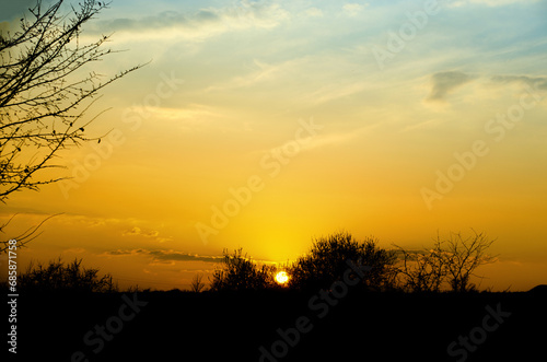 Sunset in Ukraine in the evening in summer