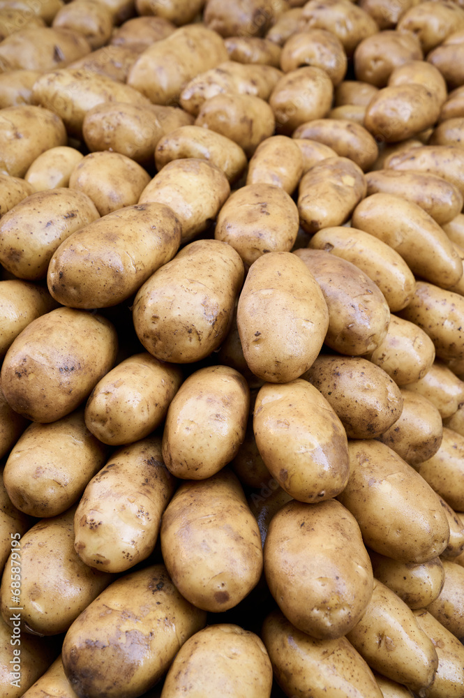 Fresh, clean potatoes on the market stall, closeup, background, vertical Fresh, clean potatoes on the market stall, closeup, background, vertical