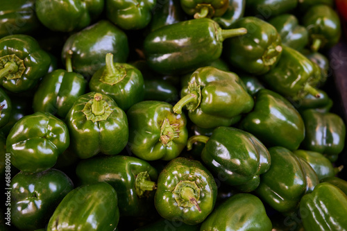 Fototapeta Naklejka Na Ścianę i Meble -  Top down view of freshly harvested, clean and ready to be used green bell pepper