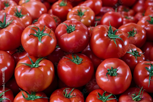 A lot of freshly harvested tomatoes on a market stall, closeup background