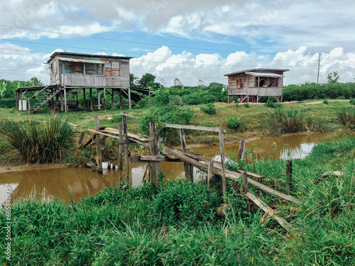 Obraz na płótnie Typical wooden houses on stilts in Guyana w salonie