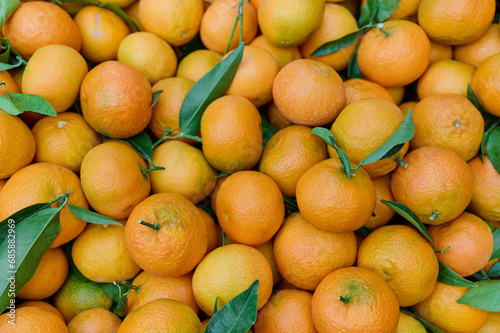 Fresh mandarin oranges or tangerines with leaves on market stall, background, closeup