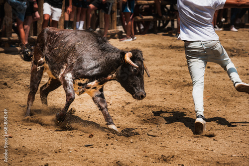 Charging Bull and Runner in a Bullring