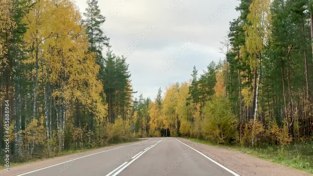 road in the autumn forest, view from the car road in the autumn forest, view from the car