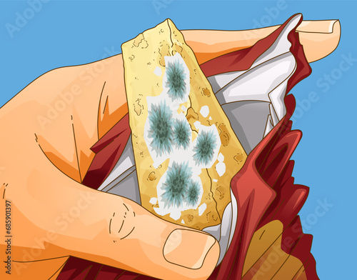 Expired cheese. Moldy cheese. Damaged goods. Hand holds spoiled cheese. Vector illustration. 