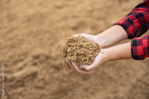 Hands of woman farmer holding pile of brewer's spent grain. Draff as fodder, animal food.