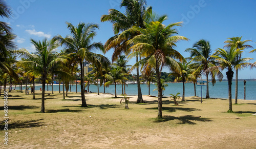 palm trees in beach in Vitoria city on summer daytime. Espirito Santo, Brazil