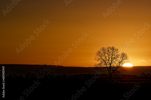 Sunrise on a Winter morning with trees silhouetting in the background