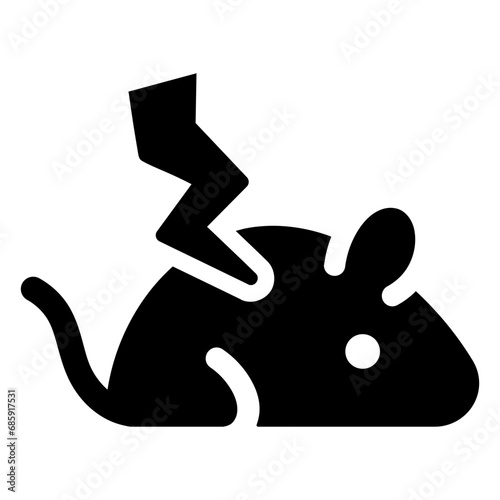 rodent