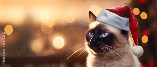 Beautiful Siamese cat in the snow outdoors wearing a small Christmas hat