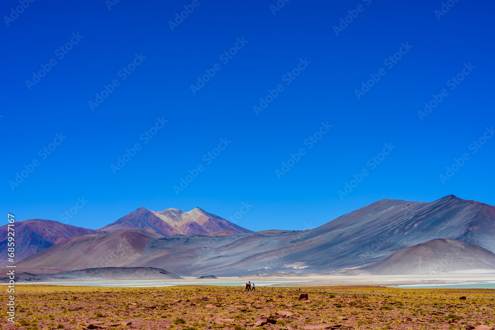 Naklejka premium Piedras Rojas também conhecida como Salar de Aguas Calientes ou Salar de Talar, Piedras Rojas é uma lagoa como poucas no mundo a 4.200 metros sobre o nível do mar.