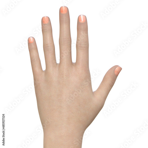 5本の指を広げている女性の手の甲の3Dイラスト photo
