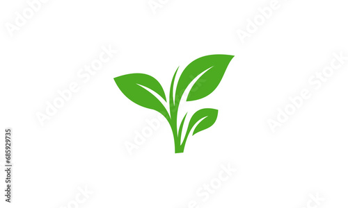 plant isolated on white background