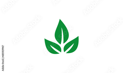 green leaf icon