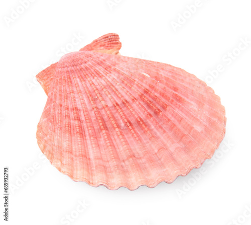 Beautiful pink seashell isolated on white. Beach object