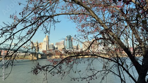 Cincinnati Riverview Through Trees photo