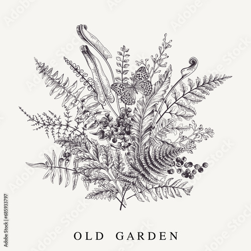 Gift card with a composition with leaves and a butterfly. Floral pattern. Forest background. Vector botanical illustration. Fern, elderberry, eucalyptus, ginkgo. Black and white.