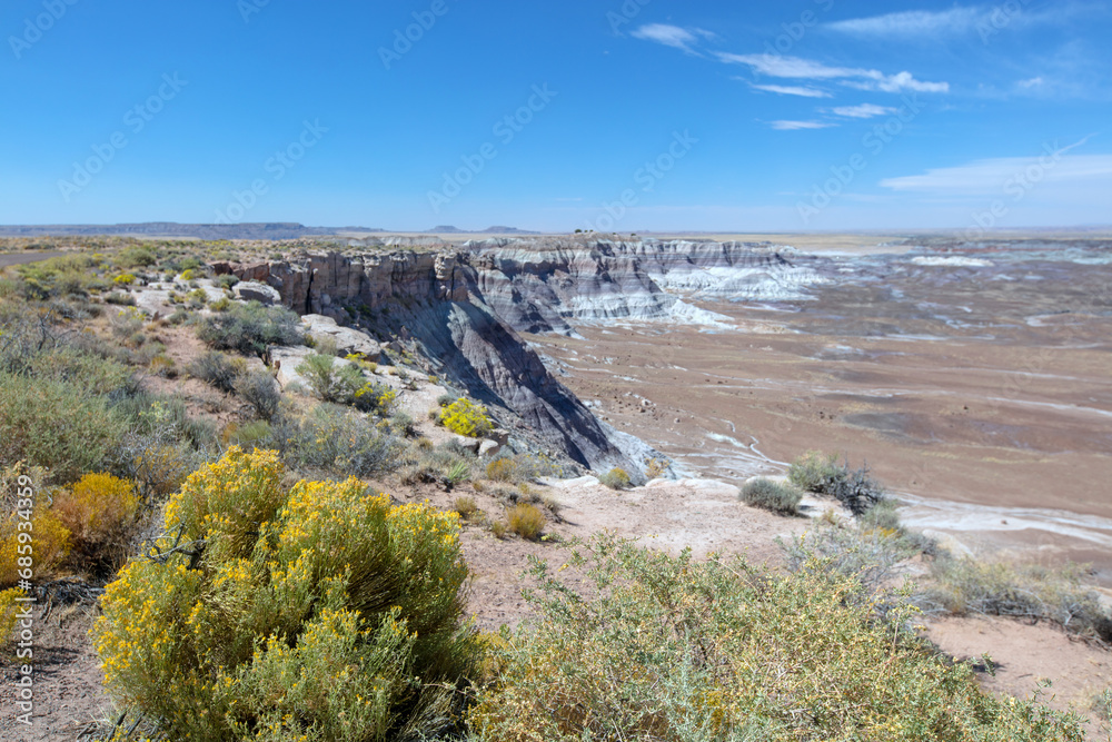 Sagebrush and desert wildflowers on ridge in the Petrified Forest National Park in Arizona United States Sagebrush and desert wildflowers on ridge in the Petrified Forest National Park in Arizona United States