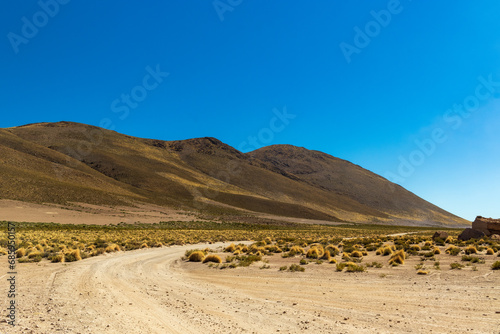 Dirt road in Bolivian desert landscape.