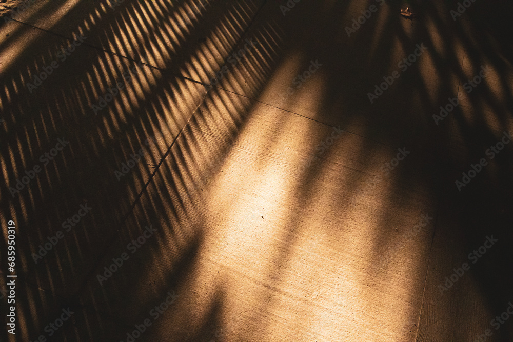 Abstract plant trees shadows on stone floor in warm sunlight. Autumnal soft focus background. Sunny day shadow on wall. Texture of a sunshine on cement floor. Interior, exterior details architecture. - obrazy, fototapety, plakaty 