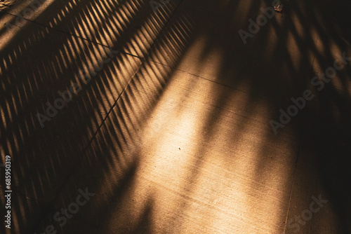 Abstract plant trees shadows on stone floor in warm sunlight. Autumnal soft focus background. Sunny day shadow on wall. Texture of a sunshine on cement floor. Interior, exterior details architecture.