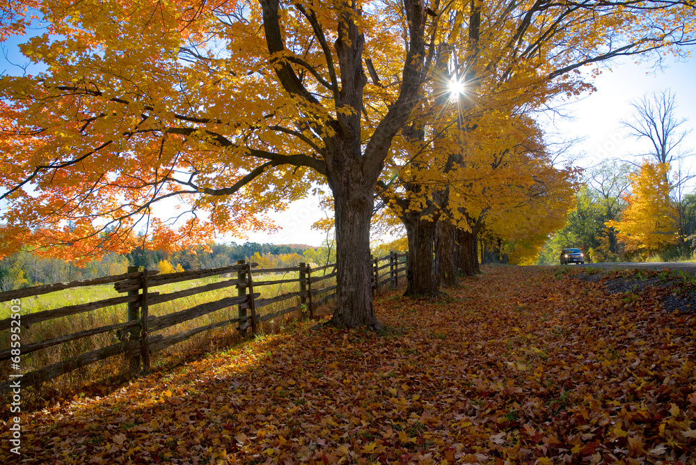 Lens flare on a beautiful country road with autumn leaf colour