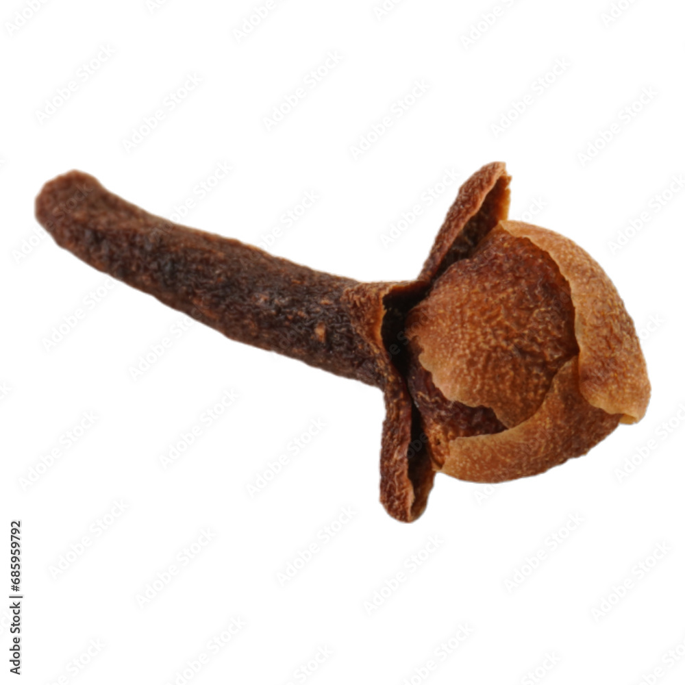 Cloves Isolated Transparent Cloves Isolated Transparent