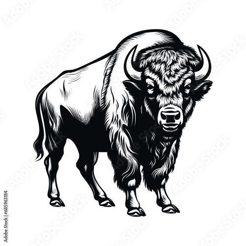 American bison, buffalo, vector illustration.