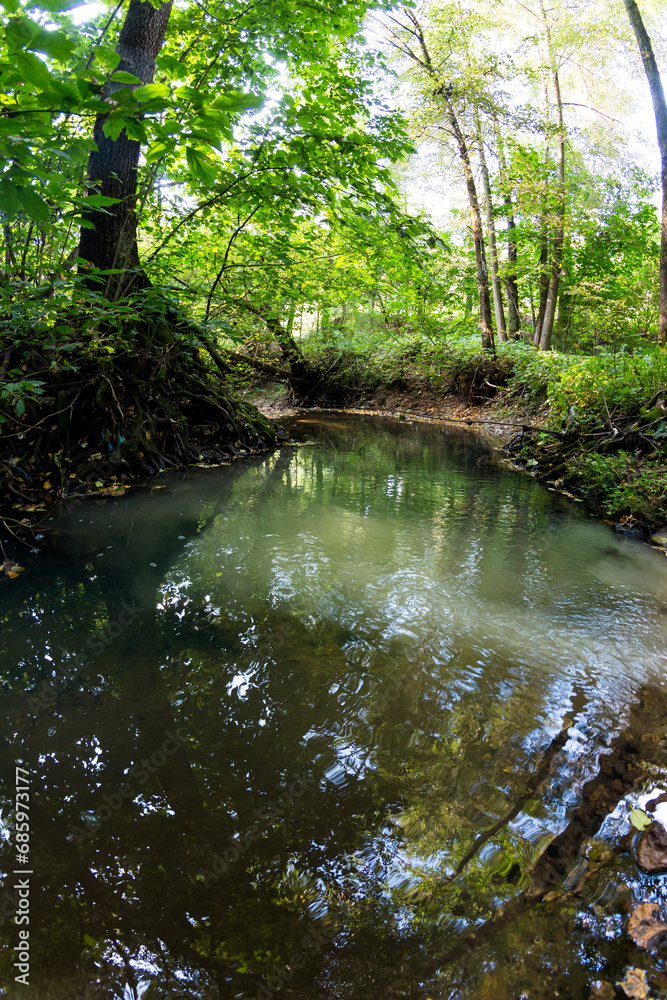 View of a forest river with garbage along the banks where a muddy stream flows into View of a forest river with garbage along the banks where a muddy stream flows into