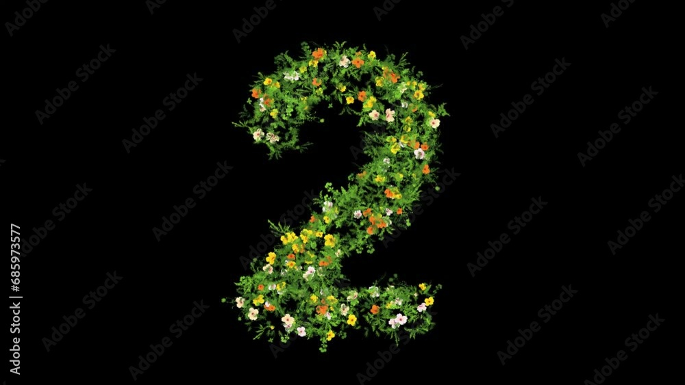 Number 2 with grass and colorful flowers on plain black background Number 2 with grass and colorful flowers on plain black background