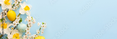 Festive banner with spring flowers and Easter eggs, white daffodils and cherry blossom branches on a blue pastel background photo