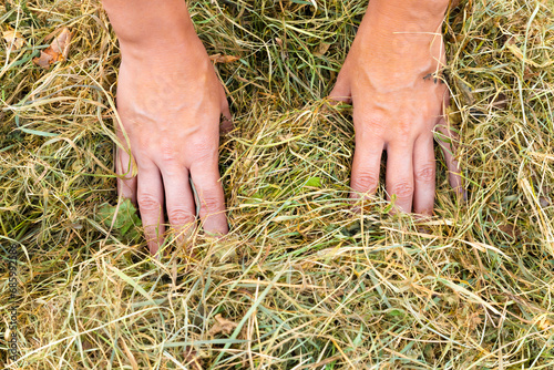 a farmer picks up a haystack, close-up.