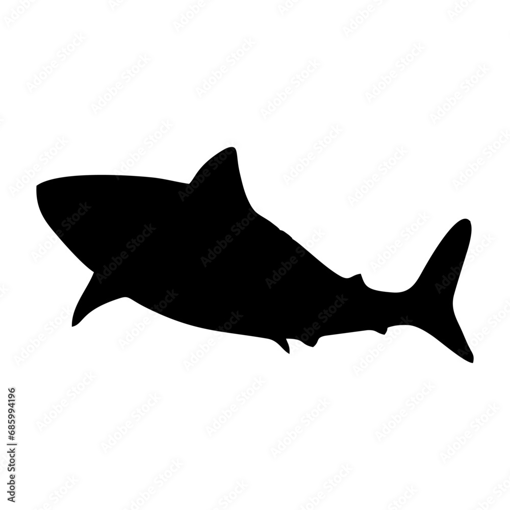 shark illustration shark illustration
