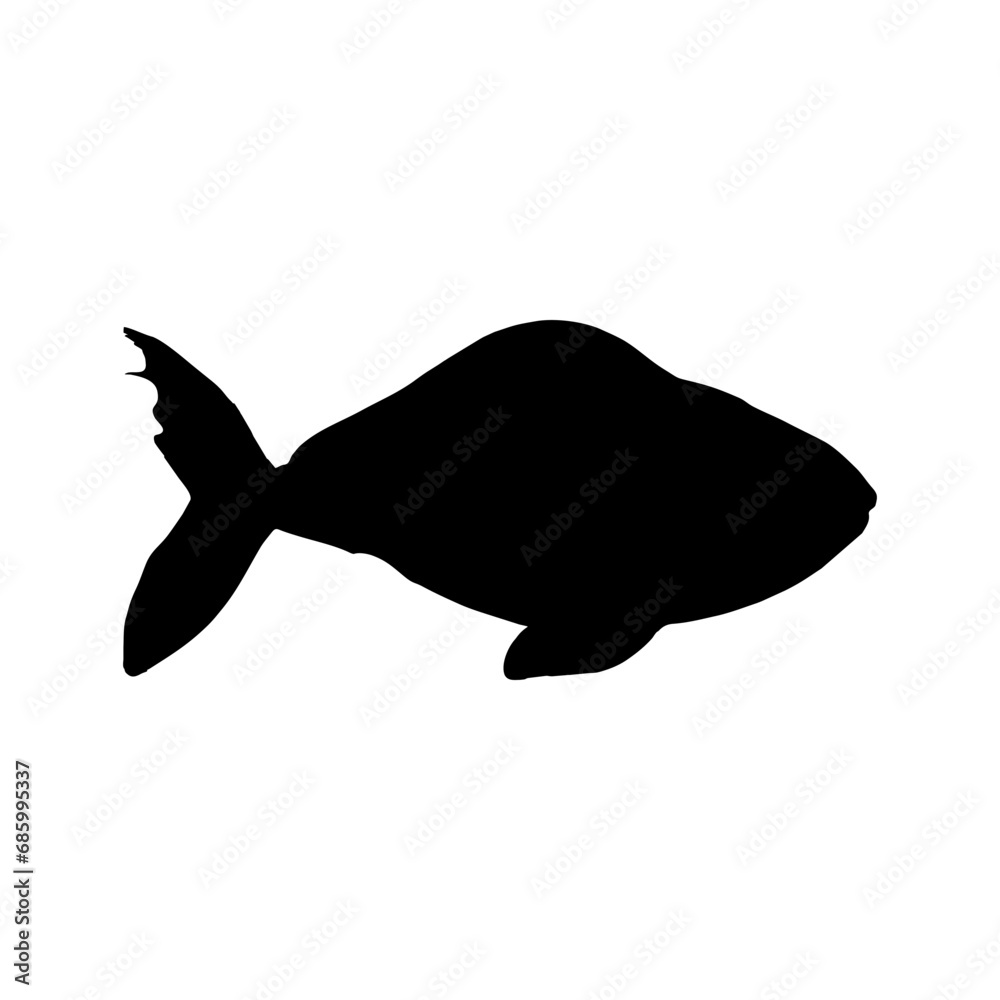 silhouette of a collection of black fish swimming silhouette of a collection of black fish swimming